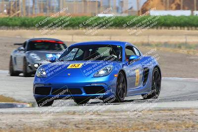 media/May-05-2023-PCA Central Coast (Fri) [[d16b5b411f]]/Blue Group/Session 3 (Outside Grapevine)/